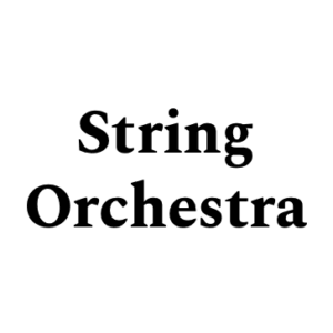 String Orchestra